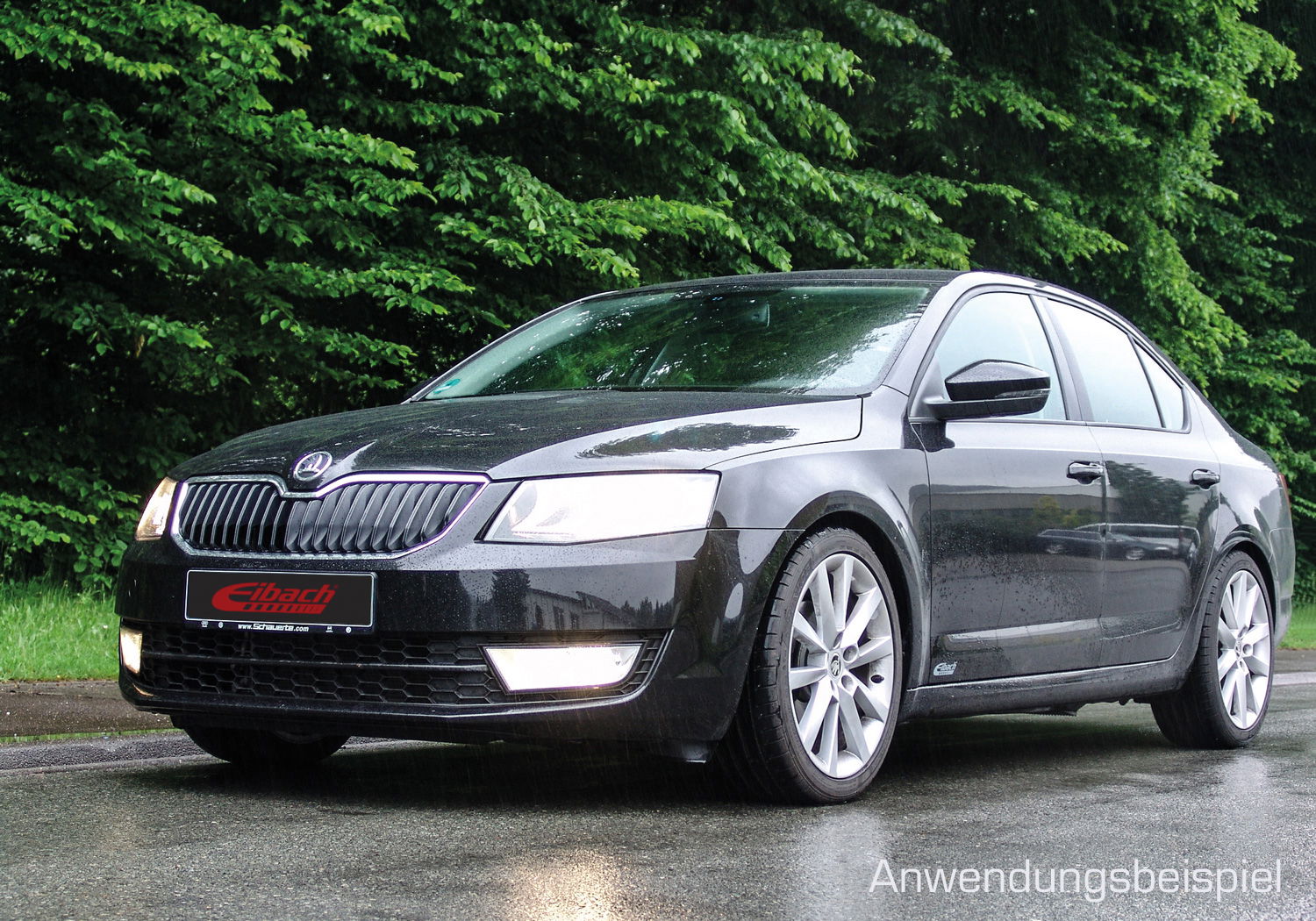 Eibach Sportline Sportfahrwerksfedern