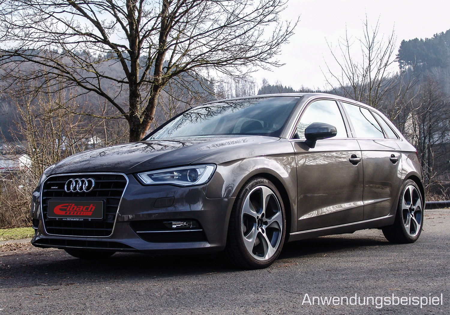 Eibach Sportline Sportfahrwerksfedern