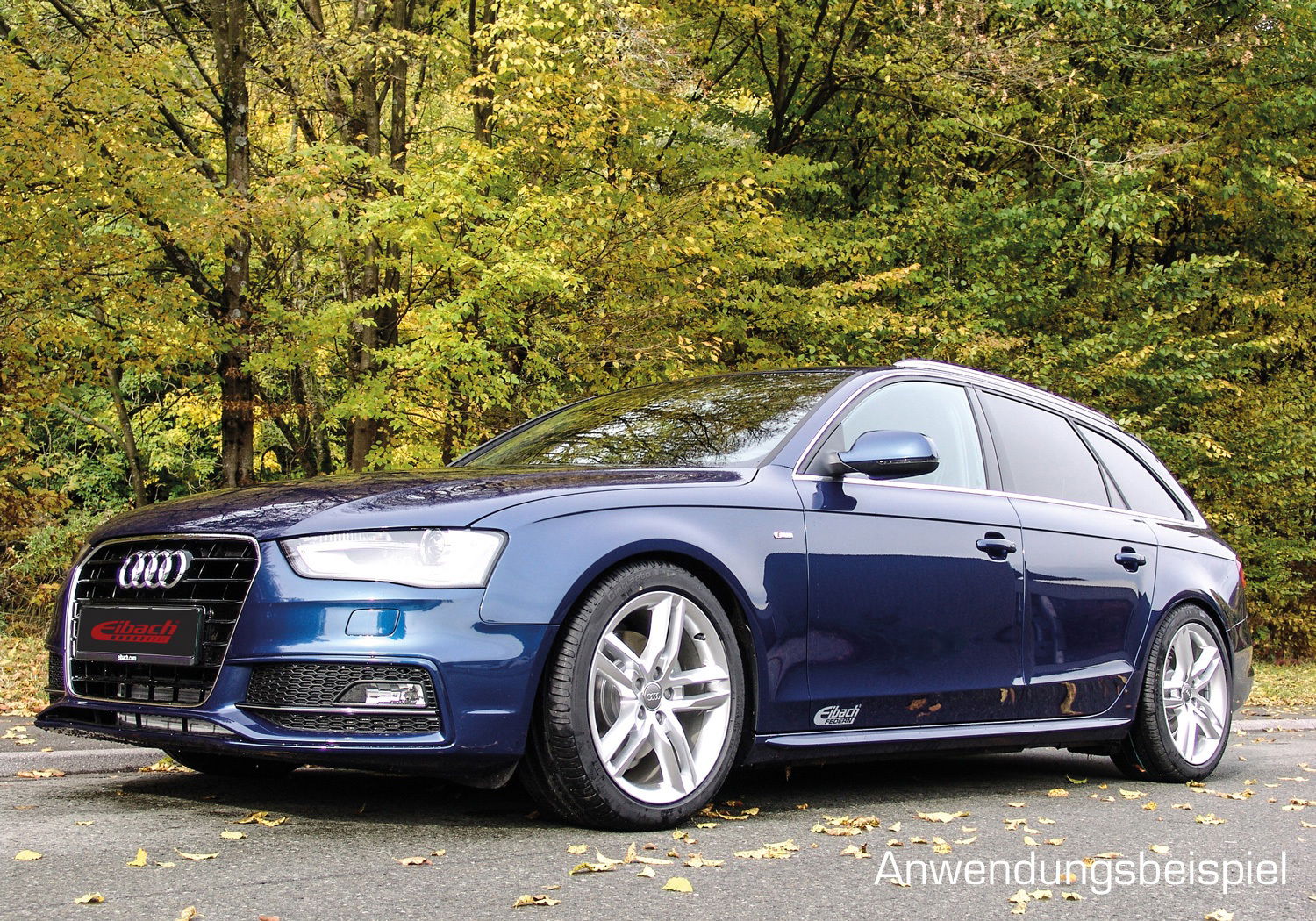 Eibach Sportline Sportfahrwerksfedern