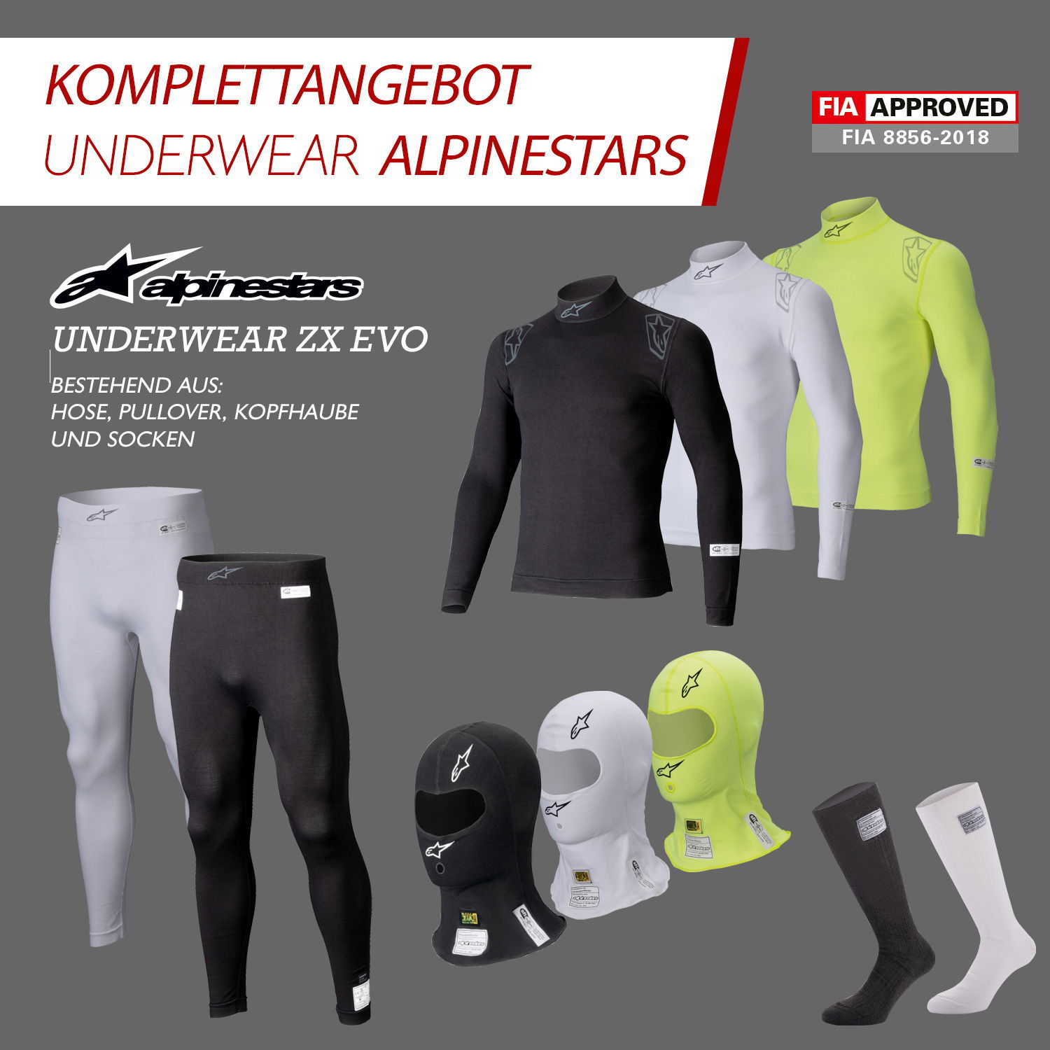 Komplettangebot Alpinestars ZX EVO